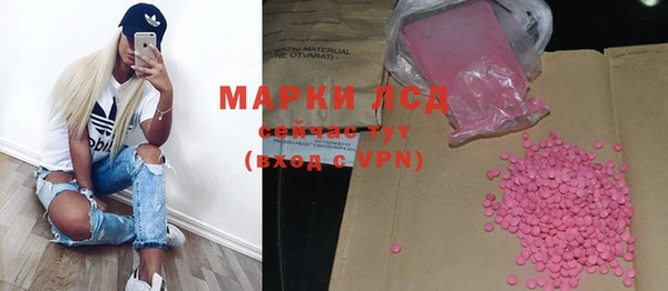 спиды Аркадак