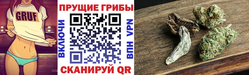 Галлюциногенные грибы Psilocybine cubensis omg ONION Кирово-Чепецк