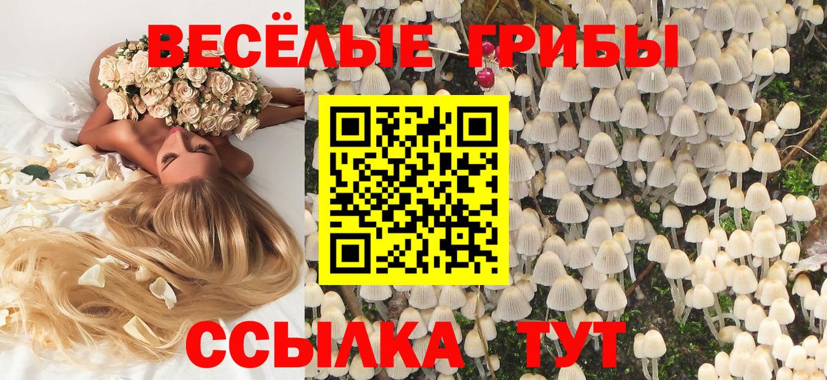 Галлюциногенные грибы мицелий  Вход с VPN  Кирово-Чепецк 